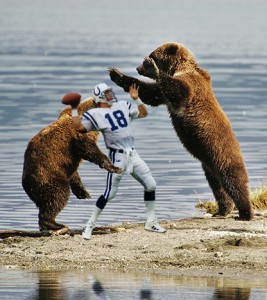 bears-attack-manning bears-attack-manning