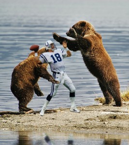 bears-attack-manning