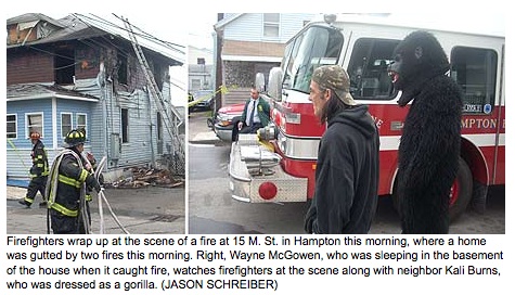 photo-caption-gorilla photo-caption-gorilla