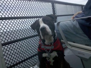 meatball-on-the-boat