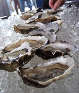 oysters