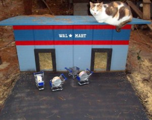cat-at-walmart