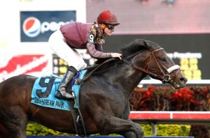 11_0130_dialedin_hollybull_jg_e-2012