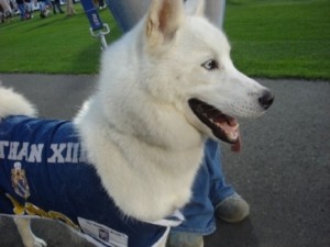 jonathan-the-husky1